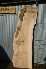 Large Single Slab Of Olive Ash. 2680 L x 865 - 702 W x 44 D mm (275)