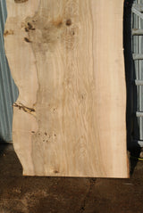 Large Single Slab Of Olive Ash. 2680 L x 865 - 702 W x 44 D mm (275)