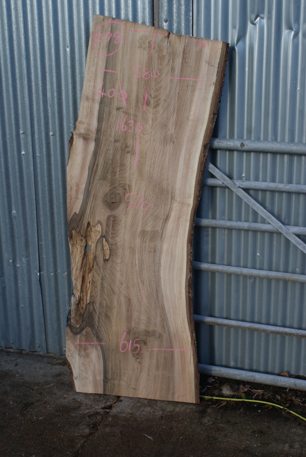 English Walnut 1630 x 595 - 575 x 40 mm (278)