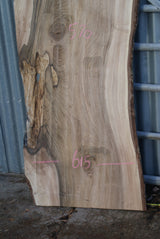 English Walnut 1630 x 595 - 575 x 40 mm (278)