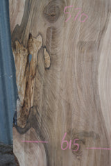 English Walnut 1630 x 595 - 575 x 40 mm (278)