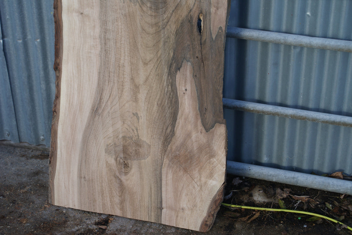 English Walnut 1630 x 595 - 575 x 40 mm (278)