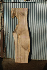 English Walnut 2130 x 620 - 305 x 38 mm (281)