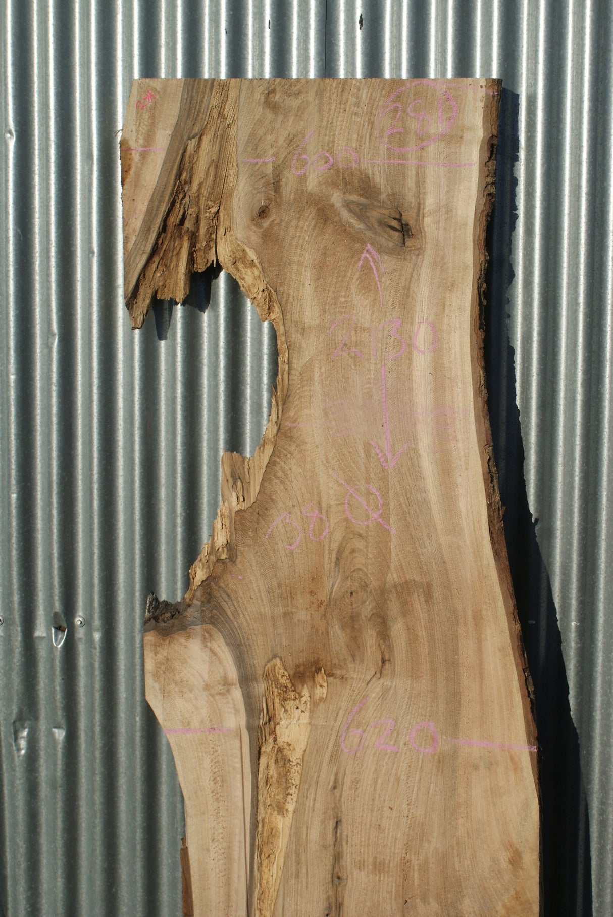 English Walnut 2130 x 620 - 305 x 38 mm (281)