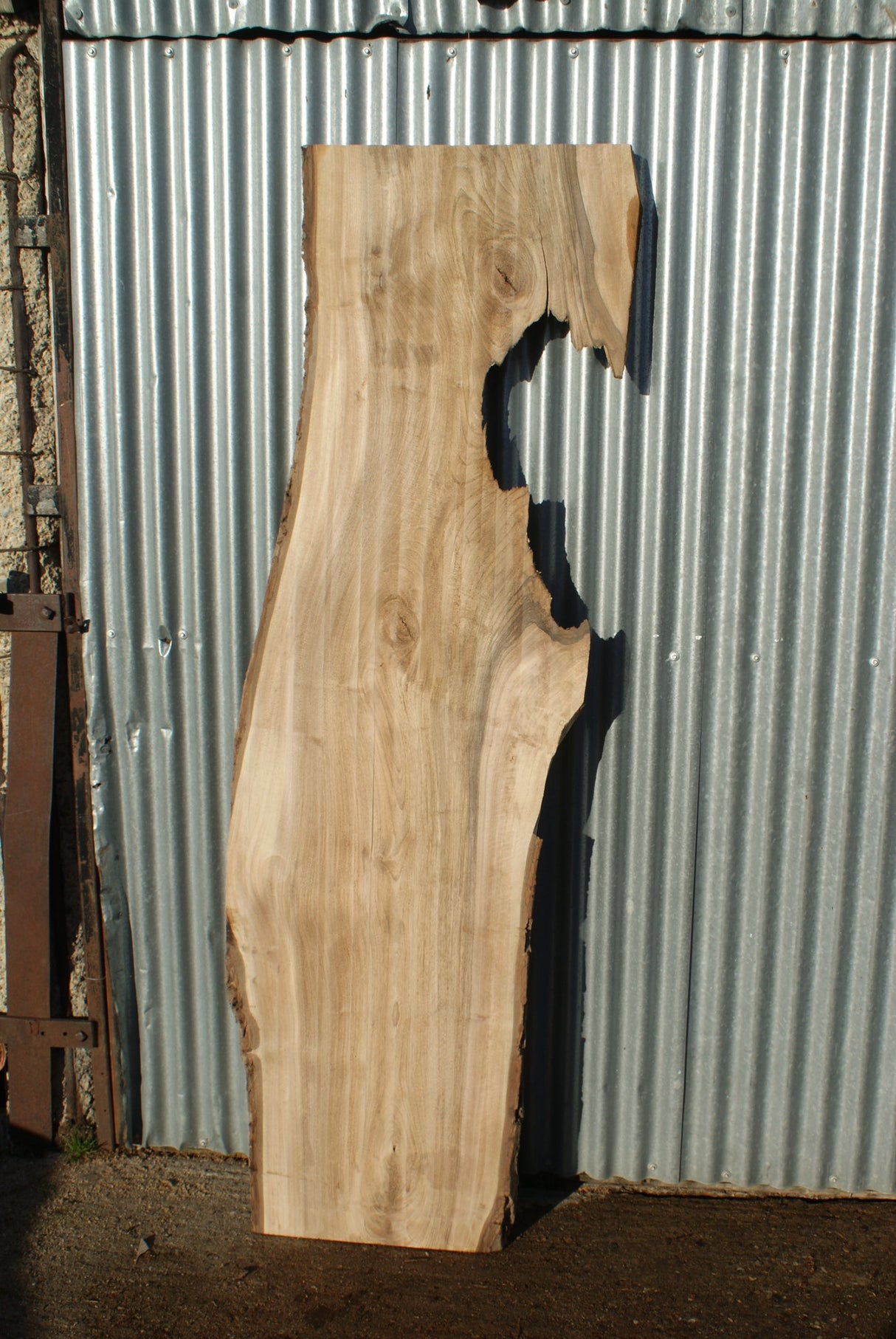 English Walnut 2130 x 620 - 305 x 38 mm (281)