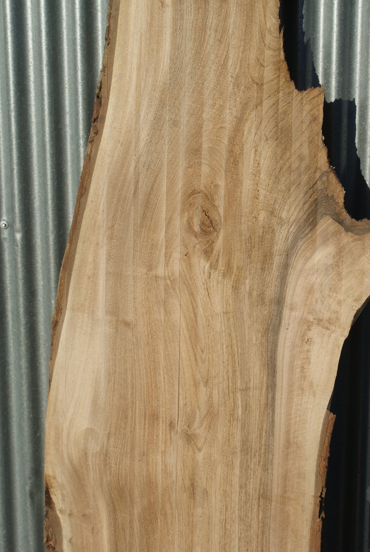 English Walnut 2130 x 620 - 305 x 38 mm (281)