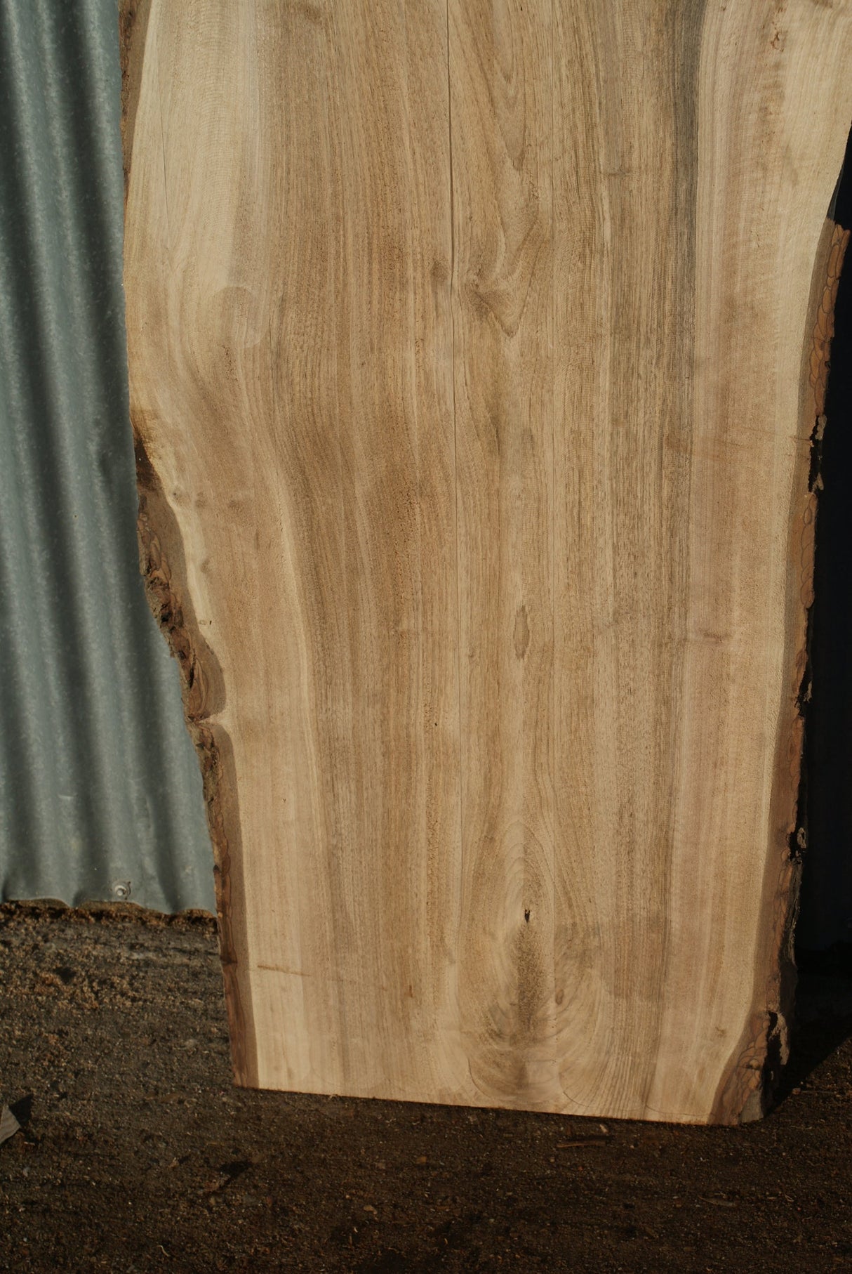 English Walnut 2130 x 620 - 305 x 38 mm (281)