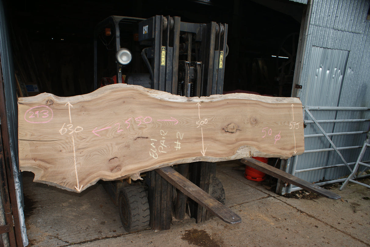 Elm Slab, Kiln Dried 2540 L x 610 - 462 W x 50 D mm   (293)