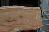 Elm Slab, Kiln Dried 2540 L x 610 - 462 W x 50 D mm   (293)