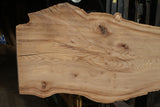 Elm Slab, Kiln Dried 2540 L x 610 - 462 W x 50 D mm   (293)