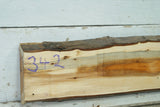 English Yew,   982 L x 176-143 W x 29 D (mm)     (342)