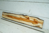 English Yew,   982 L x 176-143 W x 29 D (mm)     (342)