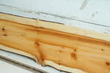 English Yew,   982 L x 176-143 W x 29 D (mm)     (342)