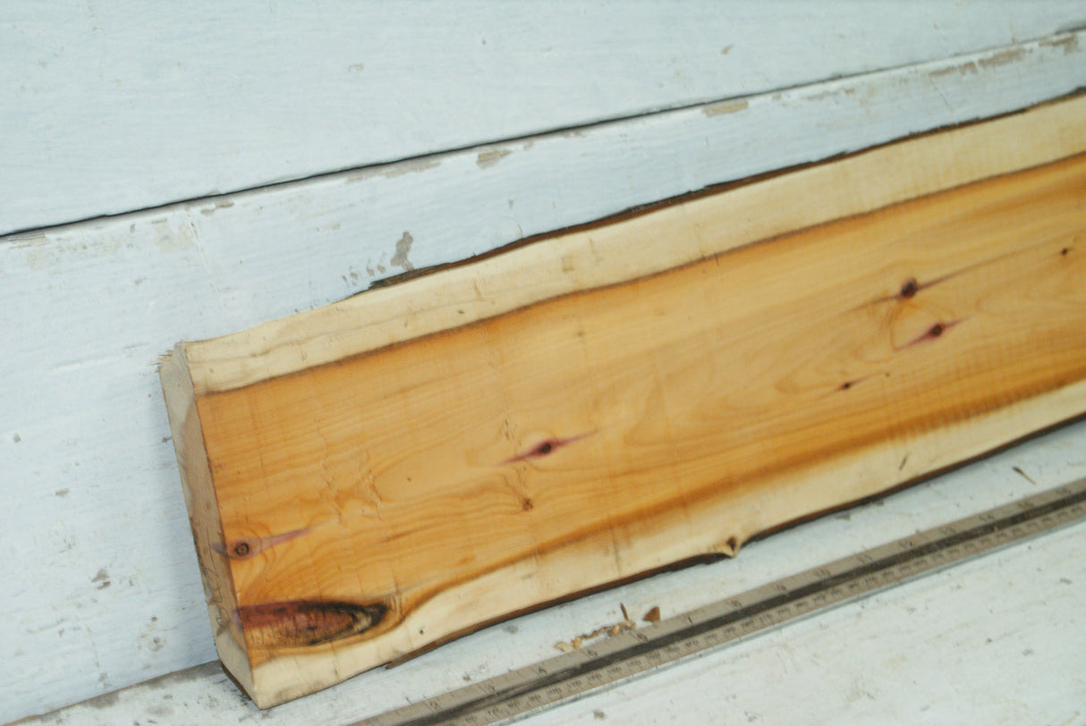 English Yew,   982 L x 176-143 W x 29 D (mm)     (342)