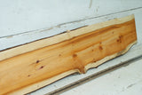 English Yew,   982 L x 176-143 W x 29 D (mm)     (342)