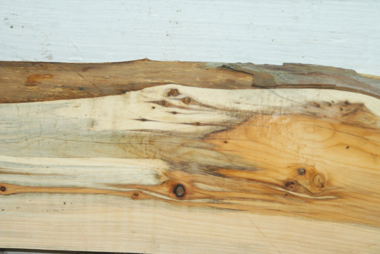 English Yew,   960 L x 120-108 W x 25 D (mm)     (343)