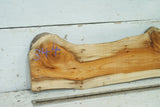 English Yew,   975 L x 158-112 W x 23 D (mm)     (344)