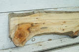 English Yew,   975 L x 158-112 W x 23 D (mm)     (344)