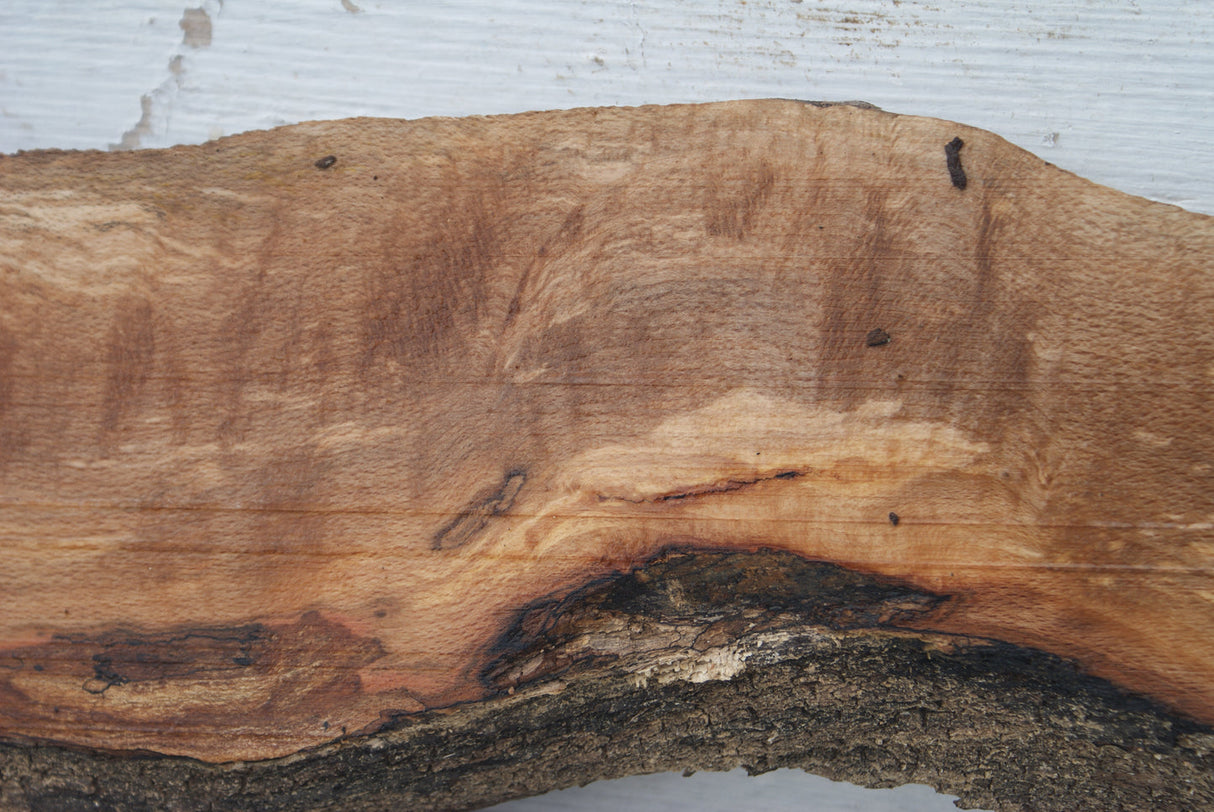 Spalted Beech  887 L x 210 - 204  W x 39 D (mm)    ( 453 )