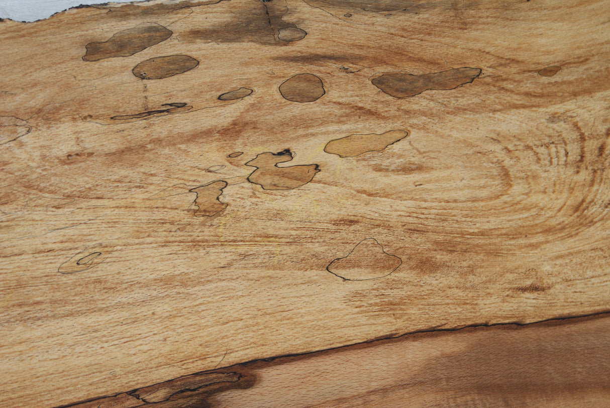 Spalted Beech  826 L x 311 - 254  W x 37 D (mm)    ( 454 )