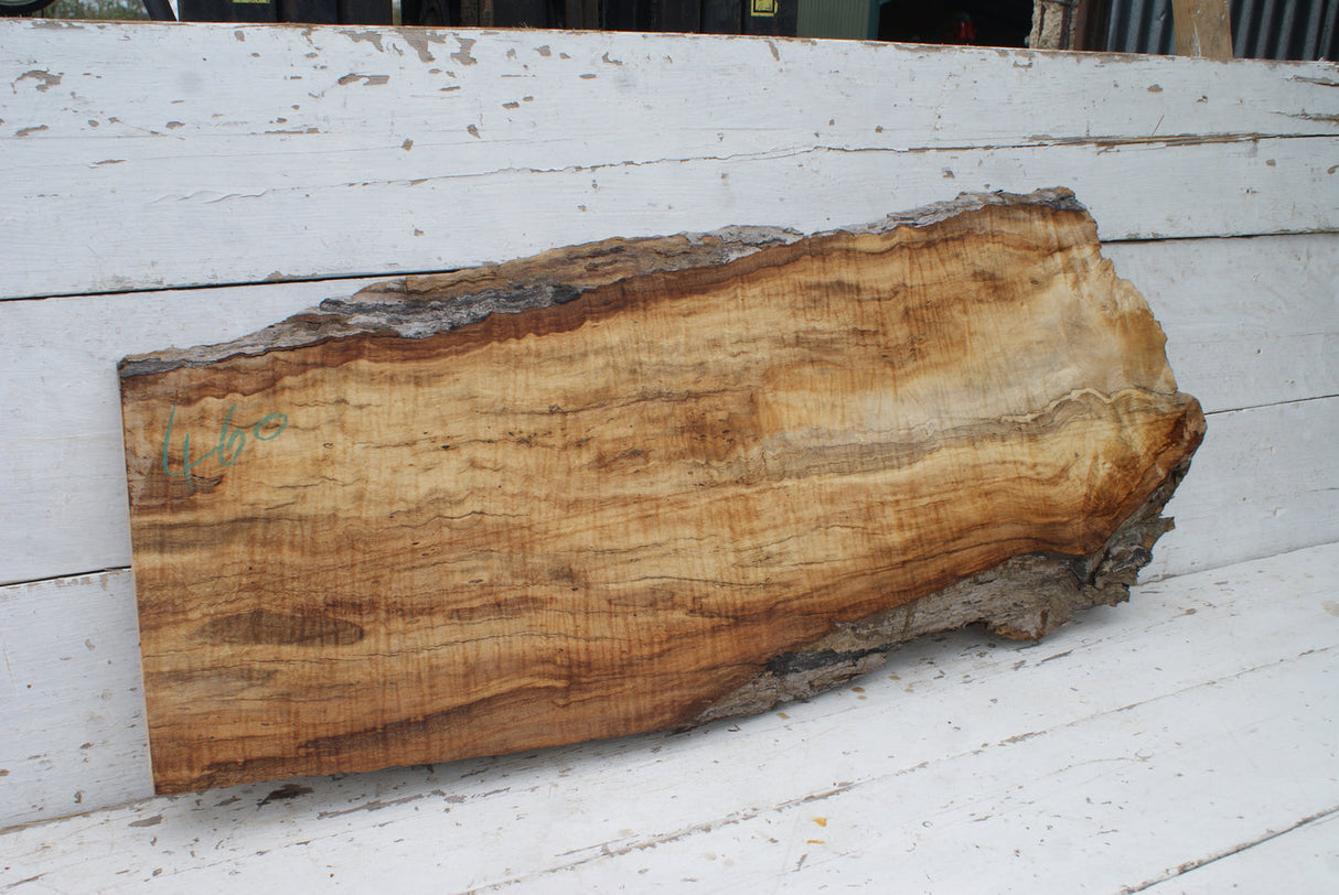Spalted Rippled Sycamore 1155 L x 473 - 350 W x 49 D (mm) (460)
