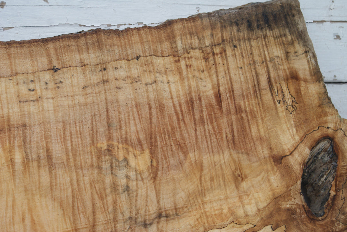 Spalted Rippled Sycamore 1091 L x 573 - 290 W x 50 D (mm) (461)