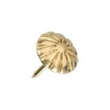 12mm Daisy High Dome Decorative Nail  Brass