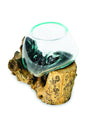Root With Glass Bowl Mini