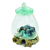 Root With Glass Jar