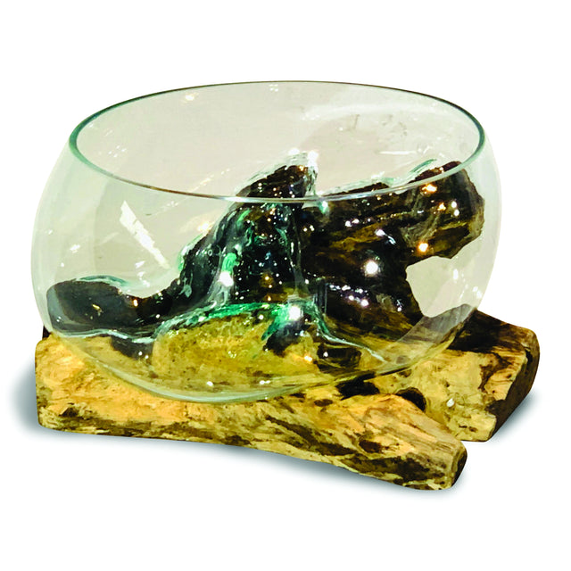 Root With Glass Fruit Bowl Large