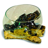 Root With Glass Fruit Bowl Large