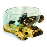 Root With Glass Fruit Bowl Large