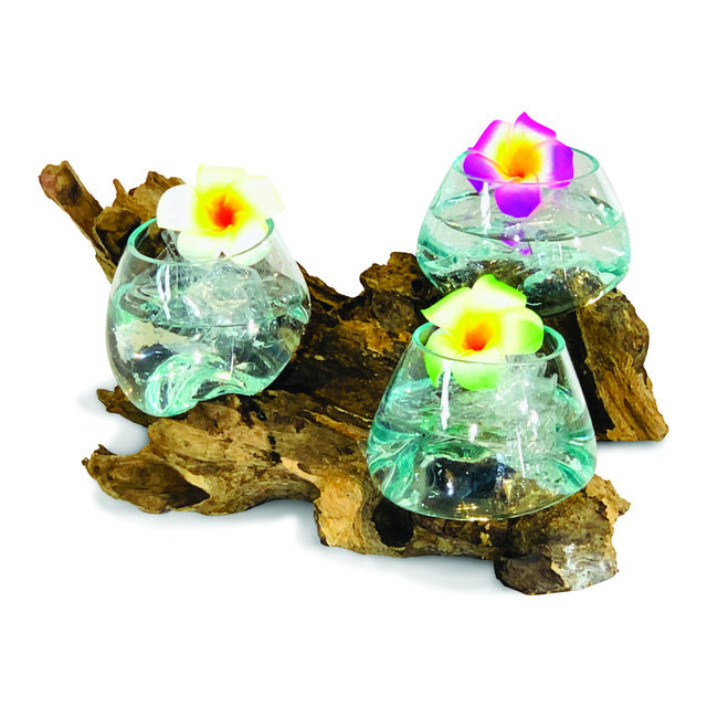 Root With Triple Glass Bowl Low