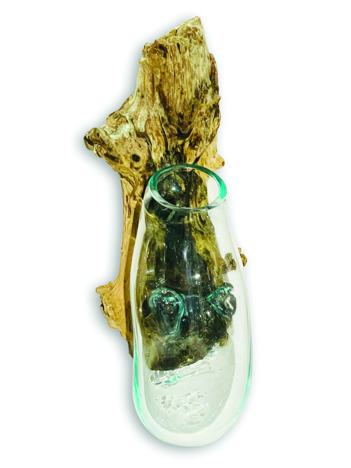 Root With Glass Bowl Wall Hanging