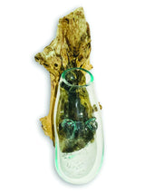 Root With Glass Bowl Wall Hanging