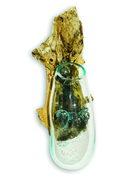 Root With Glass Bowl Wall Hanging