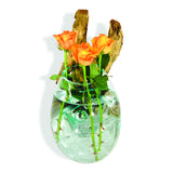 Root With Glass Bowl Wall Hanging