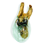 Root With Glass Bowl Wall Hanging