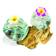 Root With Double Glass Bowl Low