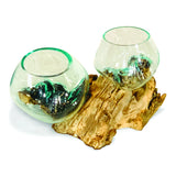 Root With Double Glass Bowl Low