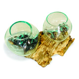 Root With Double Glass Bowl Low