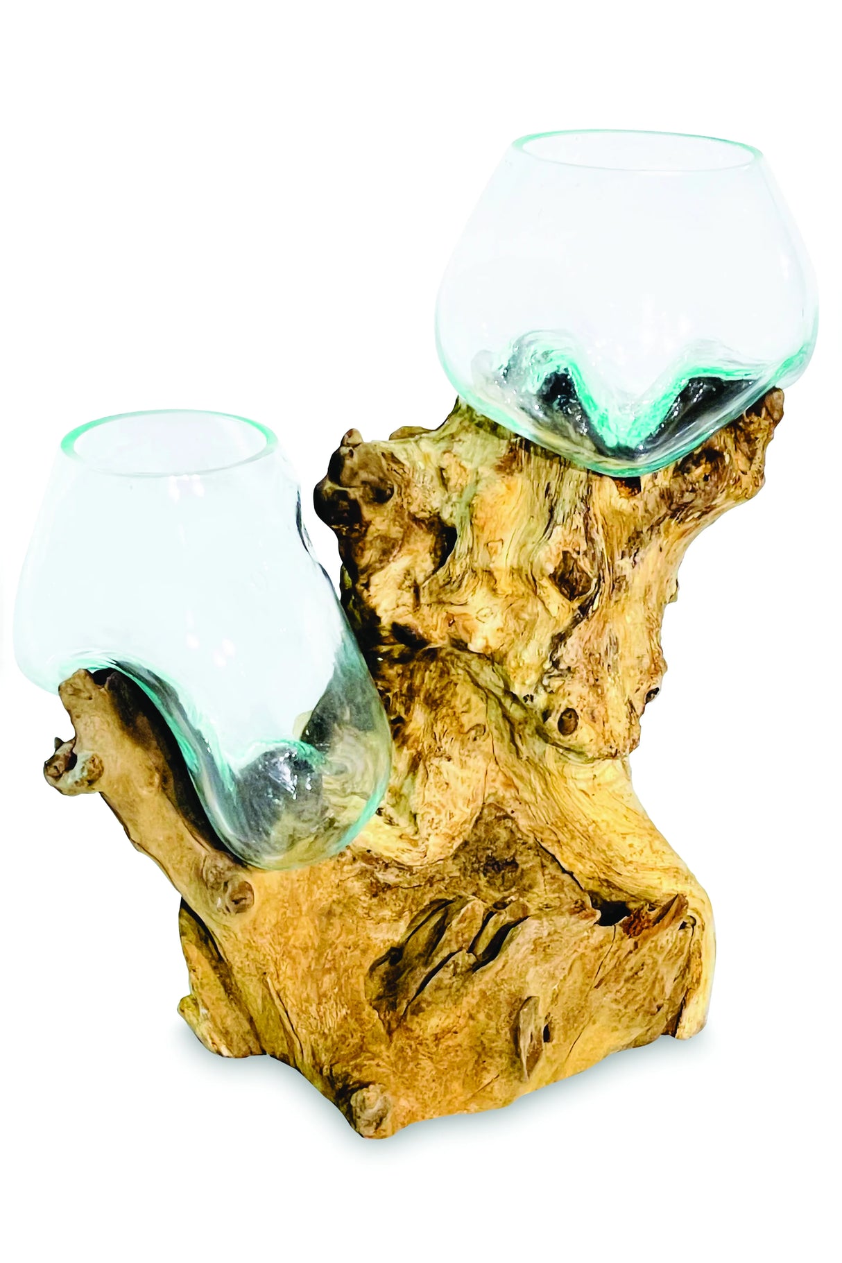Root With Double Glass Bowl Tall