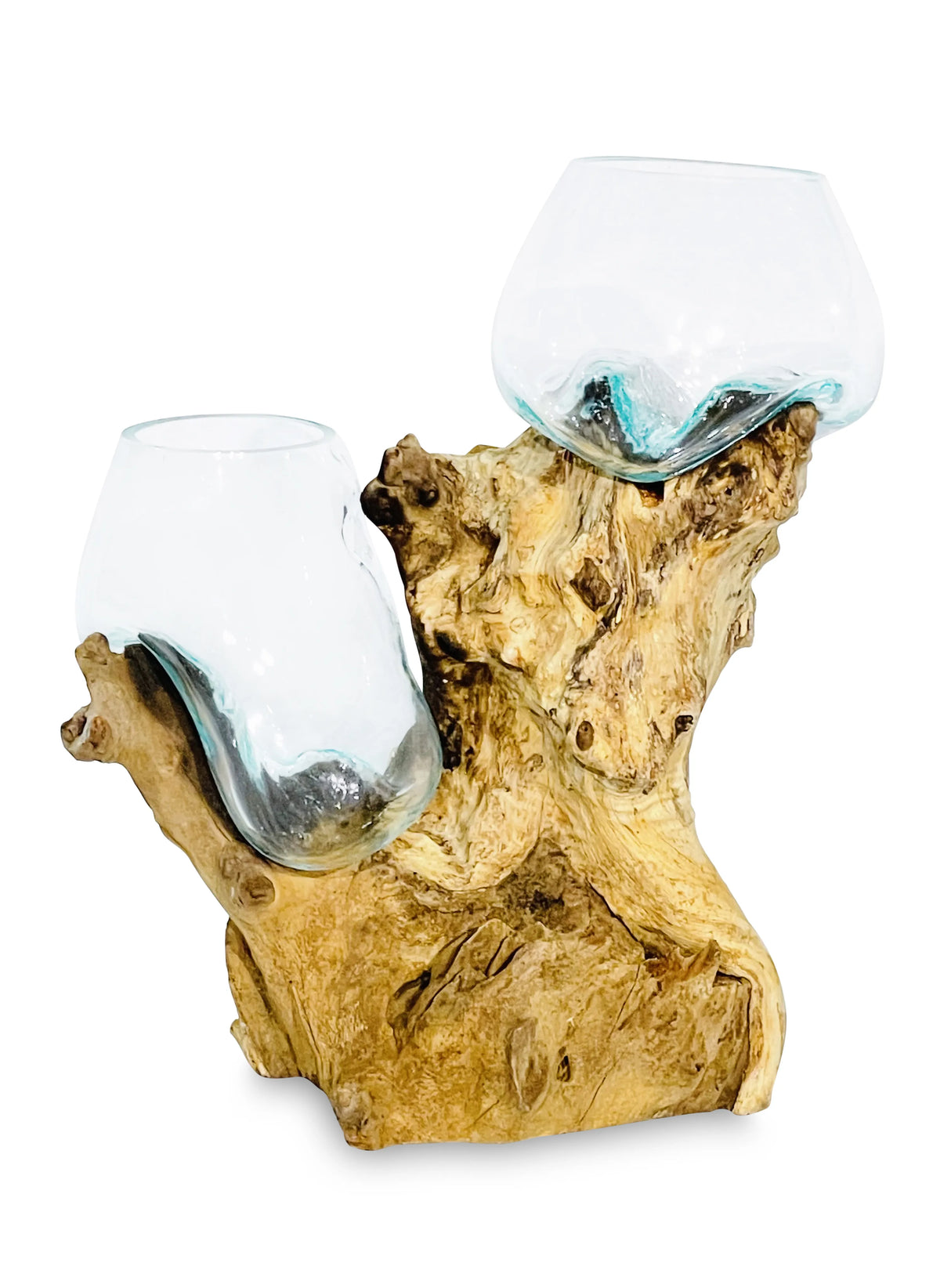 Root With Double Glass Bowl Tall