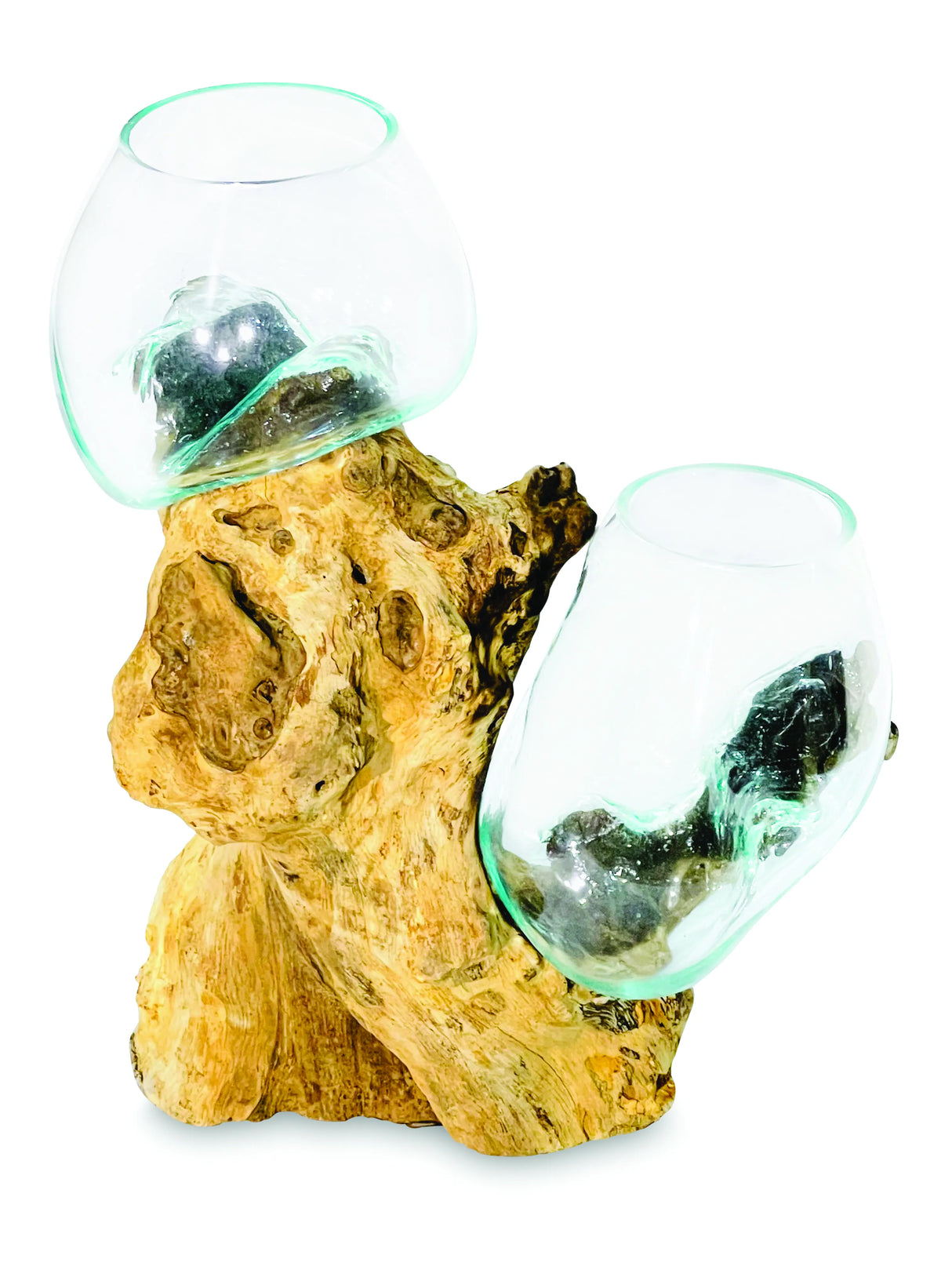 Root With Double Glass Bowl Tall