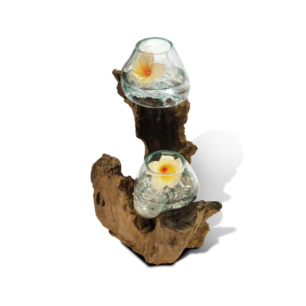 Root With Double Glass Bowl Tall