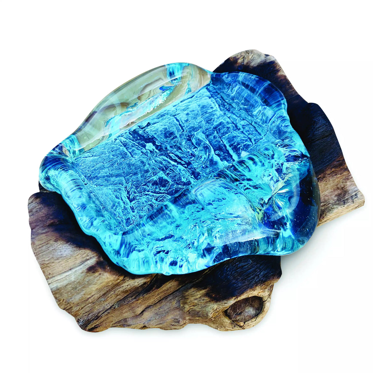Root With Glass Soap Dish Rectangle