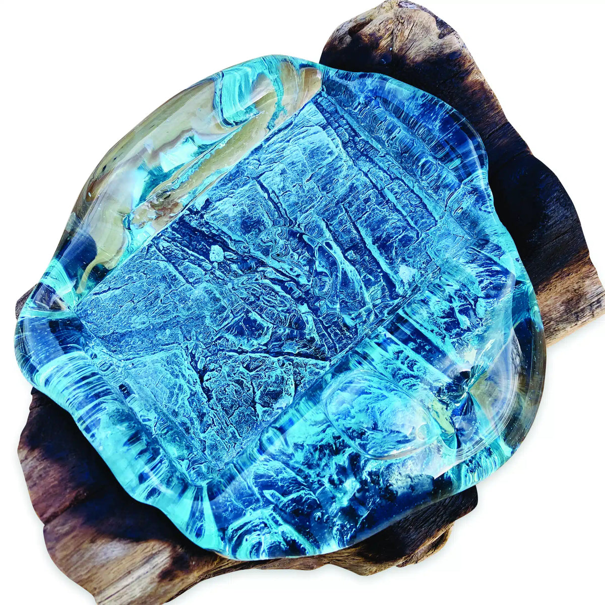 Root With Glass Soap Dish Rectangle