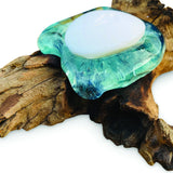 Root With Glass Soap Dish Oval