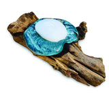 Root With Glass Soap Dish Oval
