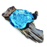 Root With Glass Soap Dish Oval